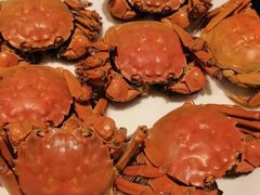 -上海虹桥宾馆(郁锦香品牌酒店)