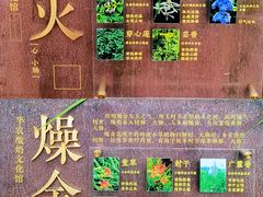 -华农酸奶文化馆