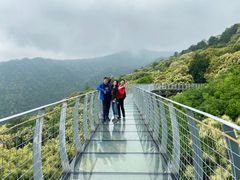 -大余丫山旅游度假区