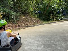 -圣淘沙天际线斜坡滑车