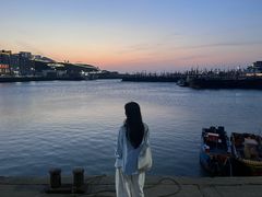-枸杞岛