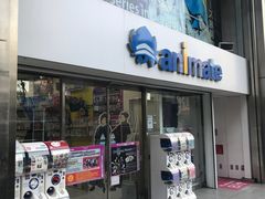 -Animate(秋叶原本馆)