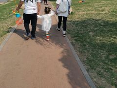 -丁香湖公园