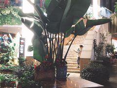 -听香·678茶铺(猛追湾店)