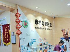 -千城康桥宠物医院·猫科·骨科·心脏