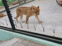 -保定市动物园