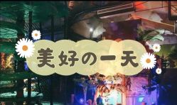 -恐龙探索乐园(磁器口店)