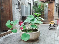 -糖房咖啡(南锣鼓巷店)