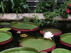 -国家植物园南园