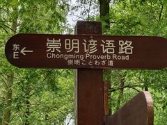 -东平国家森林公园