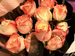 -珠海中海雅高铂尔曼酒店