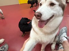 -和它·交个朋友·狗咖猫咖(爱琴海店)