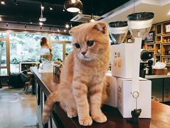 大堂-咖法森林·咖啡  酒吧(天河店)