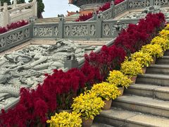 -广东圆玄道观
