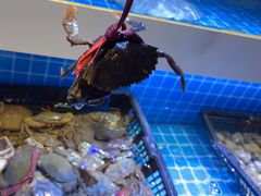 -花西亭·海鲜自助餐厅(瑞城名人酒店)