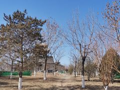 -水西公园