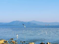 -深圳湾公园(南山区)