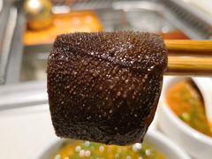 捞派脆毛肚-海底捞火锅(玉桥商业广场店)