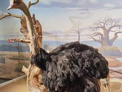 -陕西自然博物馆