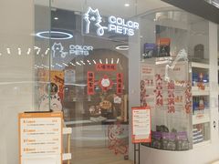 -COLOR PETS 撸猫馆·购猫·猫咖(长风大悦城店)