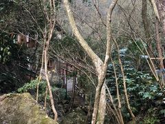 -宁海森林温泉