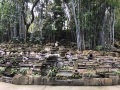 -老木棉·匠园