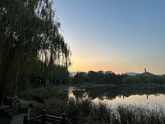 -北坞公园