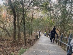 -紫金山山顶公园