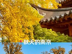 -郑和公园