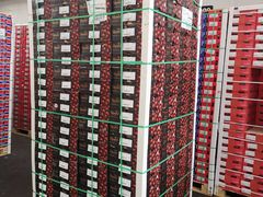 -西郊国际农产品交易中心