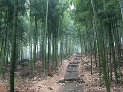 -众神白水涧景区
