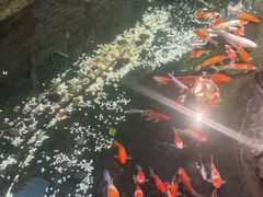 -聚缘堂·海鲜私房菜(松岭路店)