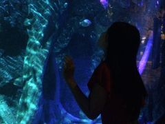 -暹罗海洋世界