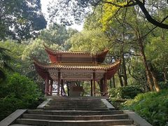 -石峰公园