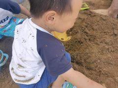 -碧海金沙