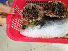 -小辣妹川味海鲜加工店(第一市场椰风巷店)