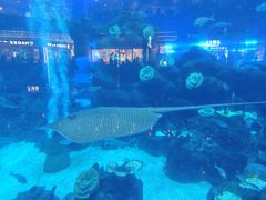 -成都浩海立方海洋公园