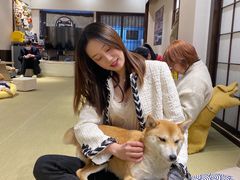 -逗柴咖啡屋·狗咖猫咖宠物桌游