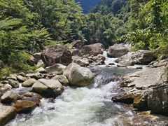 -炎陵县神农谷国家森林公园