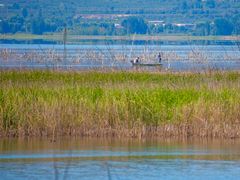 -野鸭湖国家湿地公园