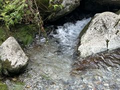 -苍山感通索道