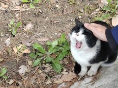 -同济大学(嘉定校区)