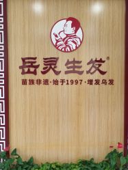 -岳灵生发养发馆