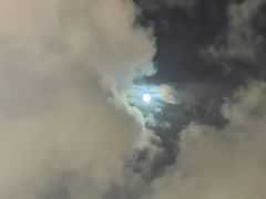 -上海和平饭店华懋阁 Cathay Room