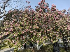 -玄武湖景区-情侣园游乐场