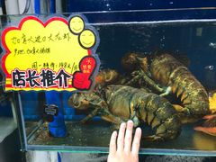 -蚝专家(北滘店)
