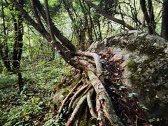 -秦岭风景区
