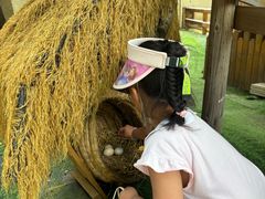 -HERRE·FARM 赫尔露营农场·团建聚会包场