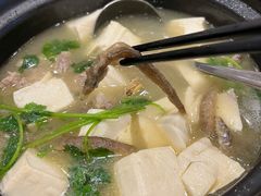 -丰食农家乐