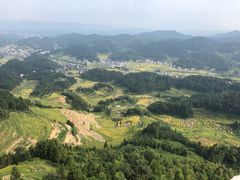 -紫鹊界梯田景区